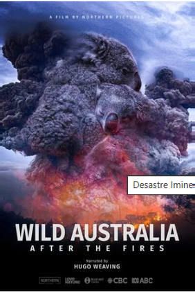 Depois dos Incêndios Florestais